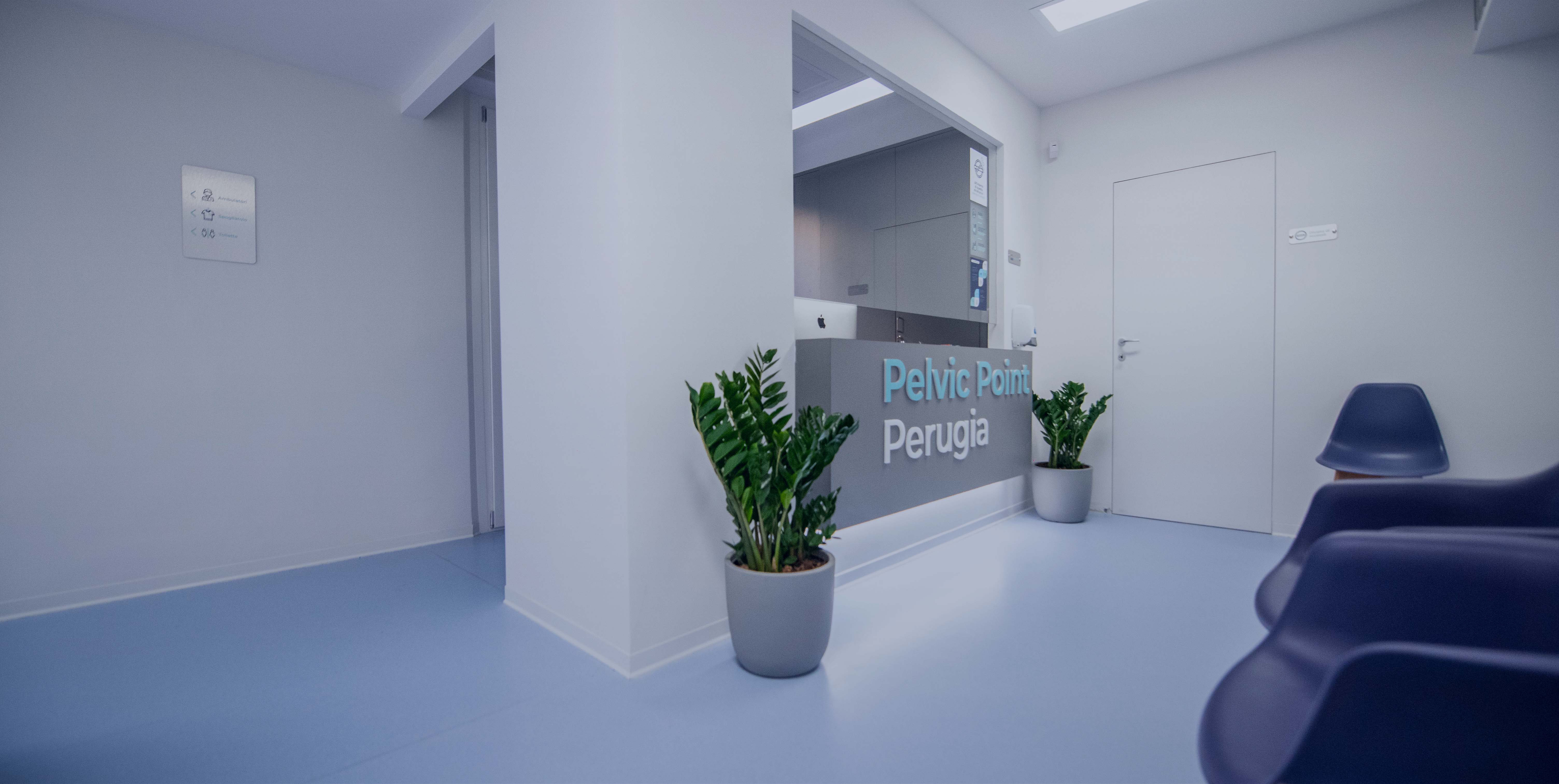 Pelvic Point Centro